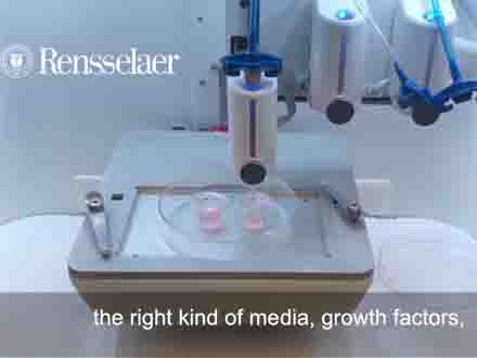RPI 科学家在皮肤组织中3D打印毛囊，有望应用于再生医学和药物测试